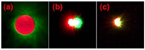 Optical vortex images