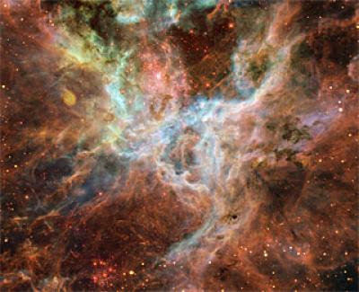 The Tarantula nebula