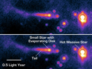 O star and protoplanetary disk
