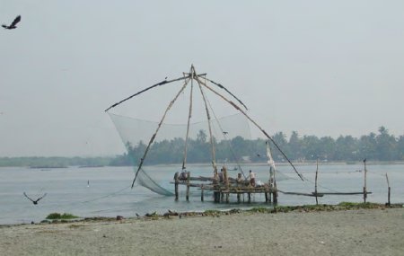 Black kites around a raised net