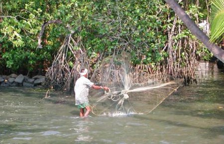 Cast fishing off Cochin