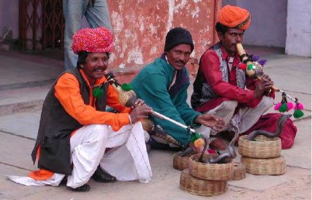 Street scene in Jaipur