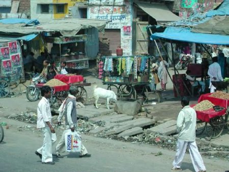 Typical roadside scene