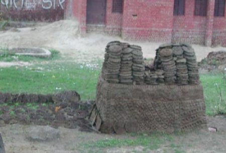 Drying cow patties