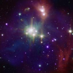 The Coronet cluster