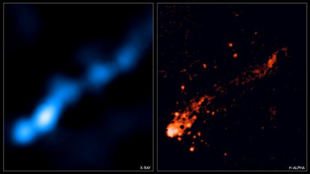 A long galactic tail forming stars