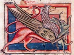 Medieval view of a griffin