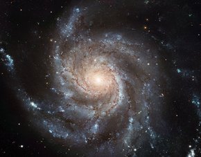 Spiral galaxy like our own