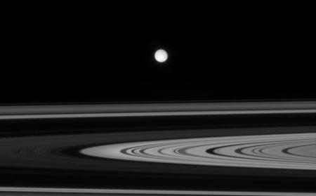 Enceladus and the Rings