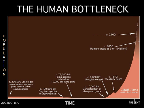 population bottleneck