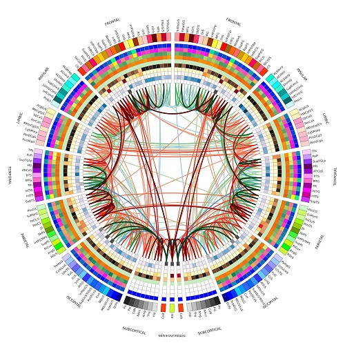 image-4-wikipedia-Double_Connectogram-final