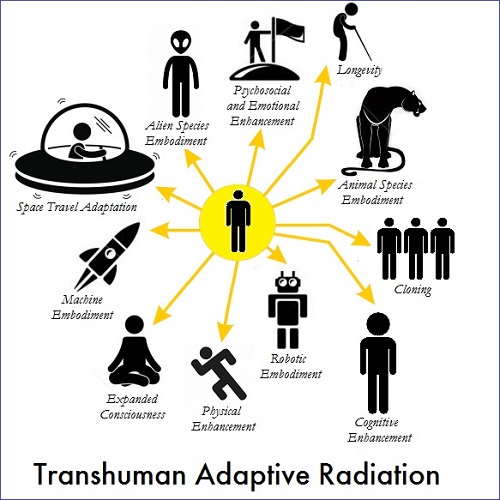 Transhumanism and Adaptive Radiation